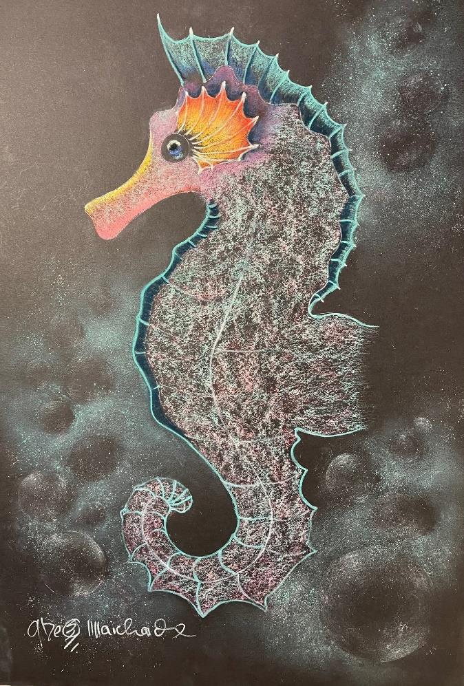 A colorful, textured illustration of a seahorse with a pink and purple body, an orange fin, and blue outlines, set against a dark background with faint bubble-like shapes.