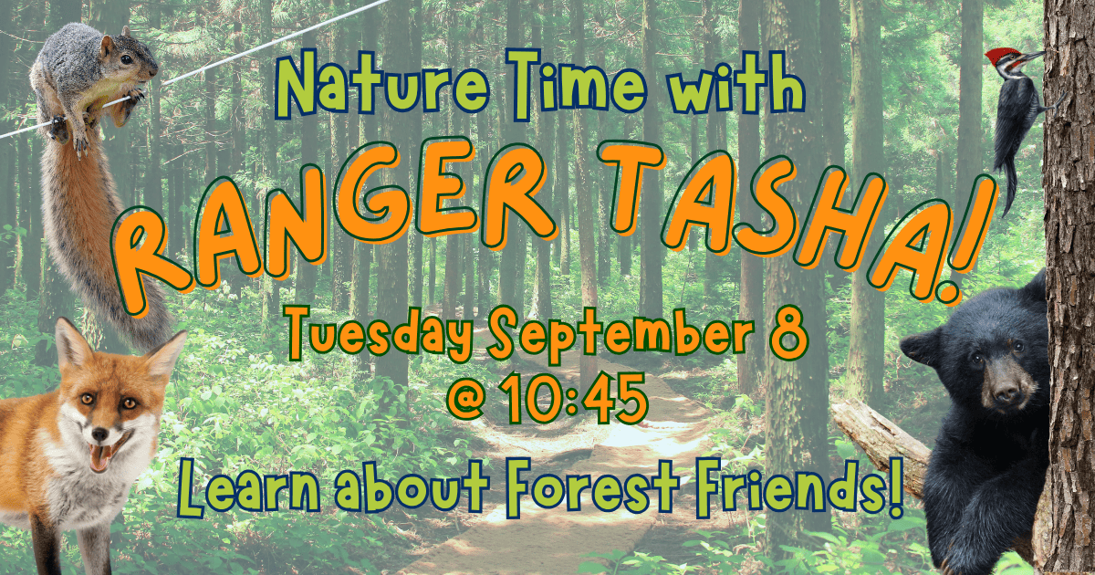 ranger tasha (8)