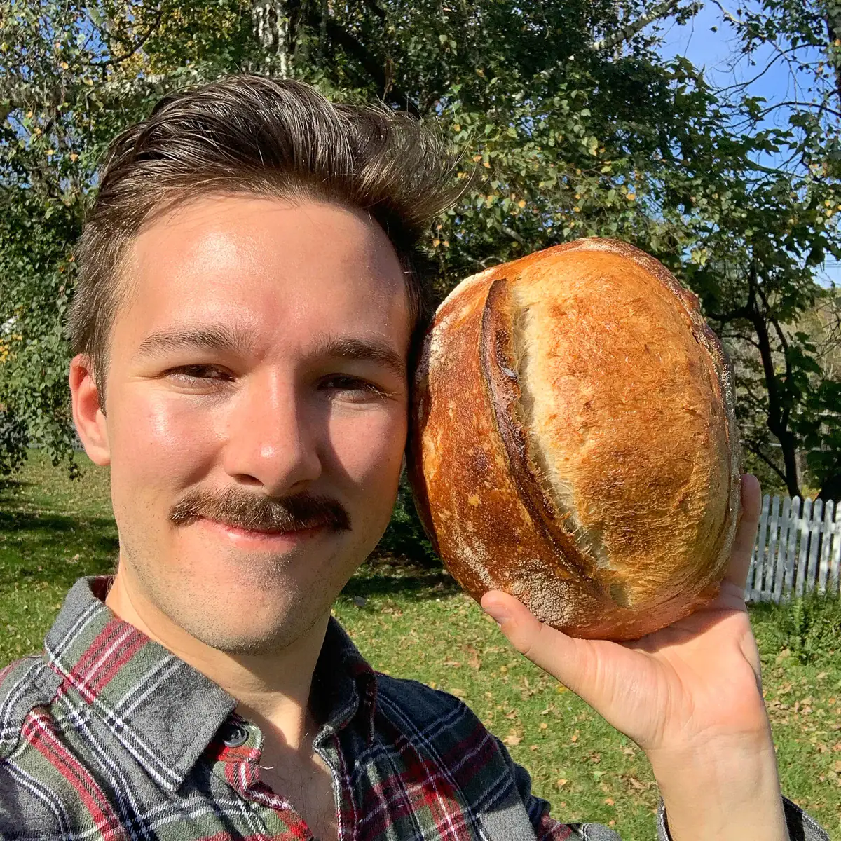 sourdough brandon profile picture